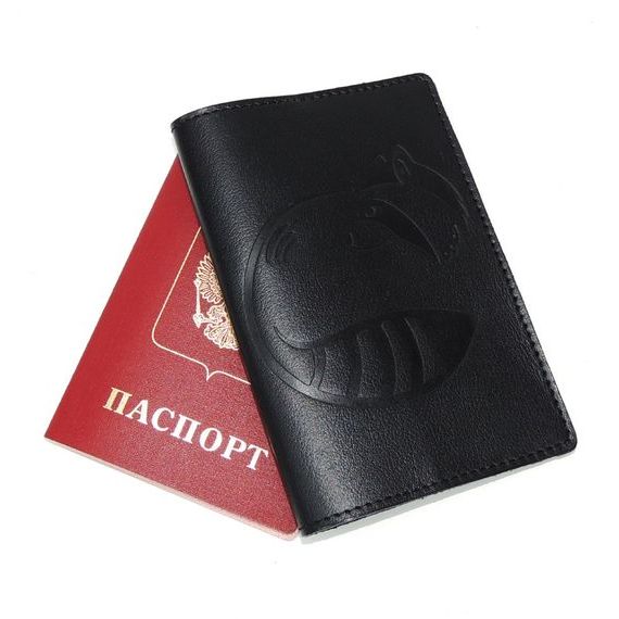 прописка в Шахунье